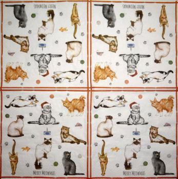 KAT-944 Katzen - 3-lagig - Ti-Flair